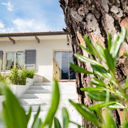 住宿加早餐酒店 Surf House