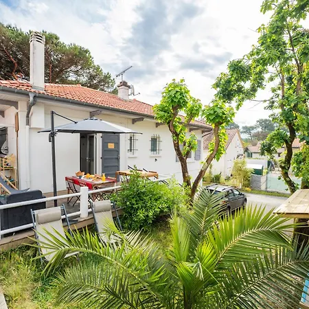 Surf House 住宿加早餐酒店 *